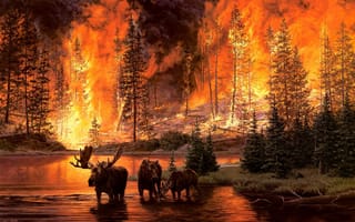 Картинка пожар в лесу, пожар, арт, лоси, река, огонь, лес, jim tschetter