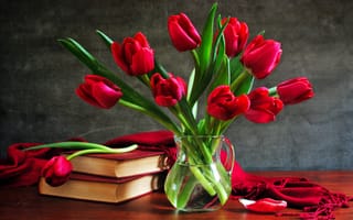 Картинка книги, букет, ваза, still life, тюльпаны
