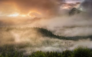 Картинка Вечерний туман над лесом
