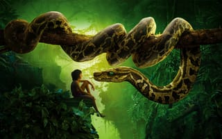 Картинка змея, джунгли, adventure, mowgli, the jungle book