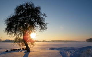 Картинка вечер, восход, закат, зима, легкий, лед, на открытом воздухе, небо, озеро, пейзаж, природа, простуда, рассвет, снег, снежный, солнце, стул, сумерки, туман