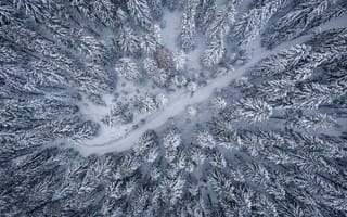 Картинка вид с квадрокоптера, дневное время, зима, лед, ледяной, на открытом воздухе, на природе, напиток со льдом, окружающая среда, погода, природа, с высоты птичьего полета, сезон, снег, снежный, снимок с квадрокоптера, сосны, съемка с дрона, фото природы, фото с дрона, хвойные деревья, хвоя
