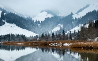 Картинка горы, зеленые деревья, зима, лед, озеро, отражение воды, пейзаж, покрытый снегом, природа, простуда, снег, туманный, фото природы