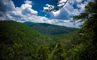 Картинка Природа, Деревья, Линвилл Фолс, Горы, Северная Каролина, Небо, Вид Сверху