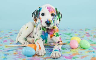 Картинка щенок, краски, кисти, яйца