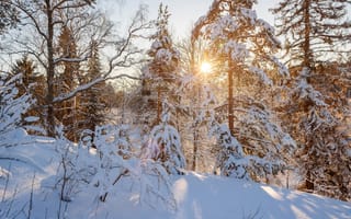 Картинка природа, зима, сугробы