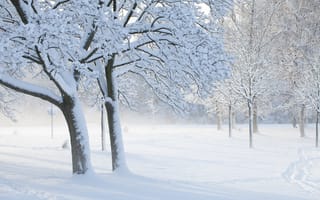 Картинка зима, деревья, след, иней, солнечный денёк, прохожий, парк, снег