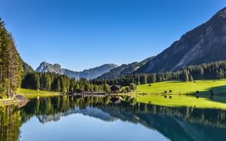 Картинка austria, отражение, лес, тироль, озеро, австрия, tyrol, горы