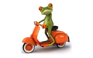 Картинка free frog 3d, лягушка, транспорт, графика, мопед