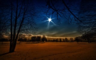 Картинка луна, небо, лес, деревья, следы, зима, снег, ночь