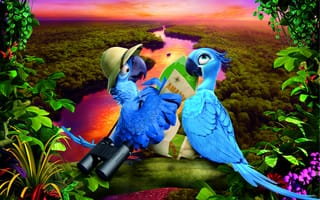 Картинка рио 2, птицы, бразилия, brazil, rio 2, рио-де-жанейро, rio de janeiro