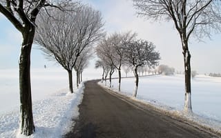 Картинка дорога, зима, деревья