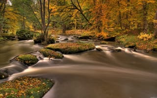 Картинка река, лес, природа