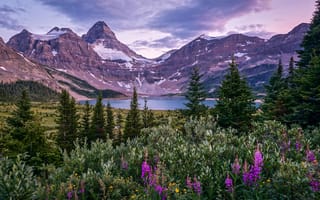 Картинка Mount Assiniboine, Canada, British Columbia, Canadian Rockies, Lake Magog