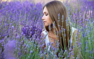 Картинка девушка, поле, светловолосая, профиль, цветы, лаванда