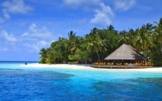 Картинка пальмы, курорт, острова, тропики, Мальдивы, красиво