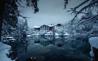 Картинка winter, tree, river, frost