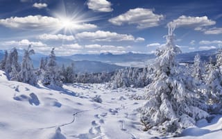 Картинка Зима, горы, природа, деревья, следы, снег
