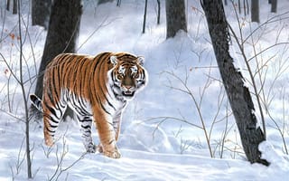 Картинка зима, тигр, картина, природа