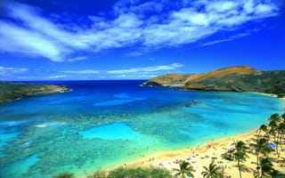 Картинка Экзотический летний пляж, лето, голубое небо, Гавайи, Palm Coast