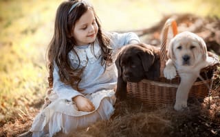 Картинка Irina Nedyalkova, корзина, собаки, ребёнок. девочка, природа, щенята, животные, щенки