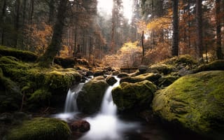 Картинка Adnan Bubalo, природа, мох, деревья, камни, осень, ручей, лес