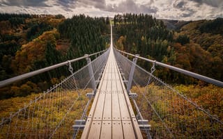 Картинка осень, мост, Германия, деревья, холмы, Подвесной мост