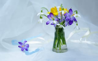 Картинка весна, крокусы, первоцветы, цветы, подснежники, ваза