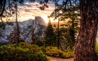 Картинка Stephen Moehle, лес, Йосемити, природа, пейзаж, закат, США, горы, заповедник, Калифорния