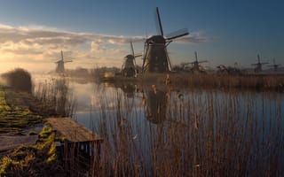 Картинка трава, утро, река, пейзаж, Голландия, Нидерланды, природа, туман, берега, мосток, мельницы