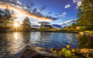 Картинка Ringerike, the lake house, Norway, trees