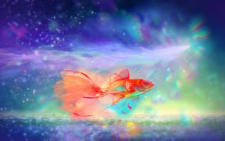 Картинка рыбка, цвета