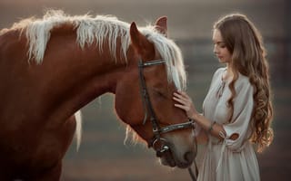 Картинка девушка, гладит, довольная, лошадь