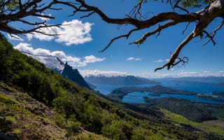 Картинка Аргентина, Озеро, Небо, Patagonia, Природа, Горы, Bariloche, Пейзаж, Ветки