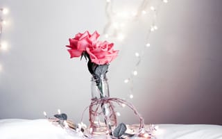 Картинка цветы, розы, лепестки, eleanor lim, боке, розовые, ваза