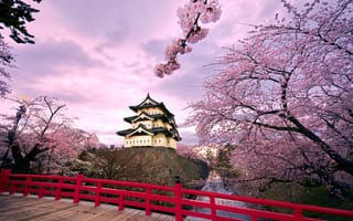 Картинка небо, япония, деревья, пруд, сакура, мост, облака, цветение, хиросаки, замок