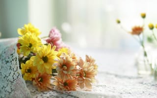 Картинка цветы, букет, размытость, хризантемы
