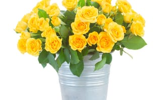 Картинка цветы, белый, желтые, розы, ведро, букет