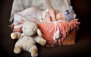 Картинка сон, игрушка, корзина, младенец, овца, накидка, ребенок, грудной ребёнок, шапочка, спящий