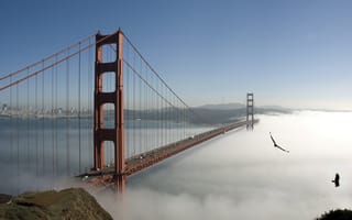 Картинка bridge -sky -fog