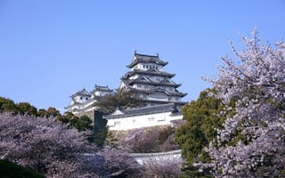 Картинка замок, япония, сакура