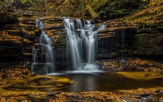 Картинка листья, ricketts glen state park, водопад, каскад, штат пенсильвания, пенсильвания, осень