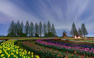Картинка ветряная мельница, цветы, Пейзаж