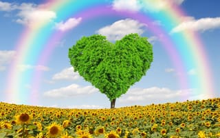 Картинка spring, tree, meadow, field, heart, rainbow, Весна