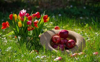 Картинка Травка, яблоки, цветы
