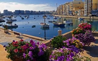 Картинка цветы, Сент-джулианс, дома, лодки, Мальта