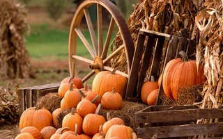 Картинка Осенний урожай тыкв у деревянного колеса