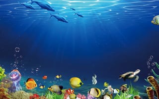 Картинка океан, рыбы, подводный, 3d, мир