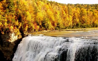 Картинка осенний лес, водопад, деревья, осень