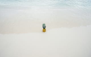 Картинка ананас, берег, песок